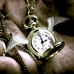 gratitude - Image by aussiegall gratitude - Image by aussiegall